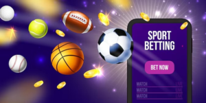 The Importance of a Professional 먹튀검증업체 in Your Daily Sports Analysis to Avoid a 먹튀사이트