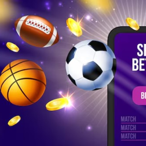 The Importance of a Professional 먹튀검증업체 in Your Daily Sports Analysis to Avoid a 먹튀사이트