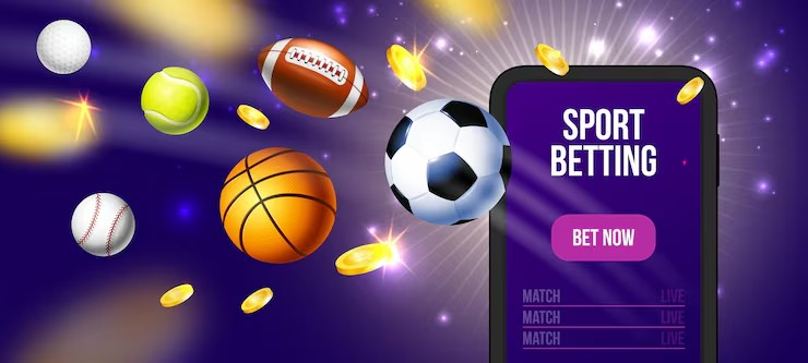 The Importance of a Professional 먹튀검증업체 in Your Daily Sports Analysis to Avoid a 먹튀사이트