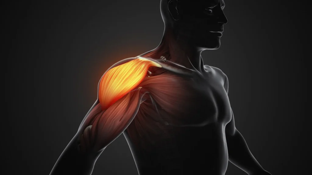 Energy for Shoulders: Understanding how long does caffeine last Before Hitting lateral raises