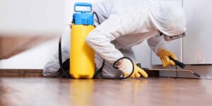 Defending Your Commercial Infrastructure: Comprehensive Pest Management Muskego WI