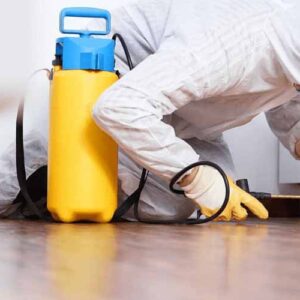 Defending Your Commercial Infrastructure: Comprehensive Pest Management Muskego WI