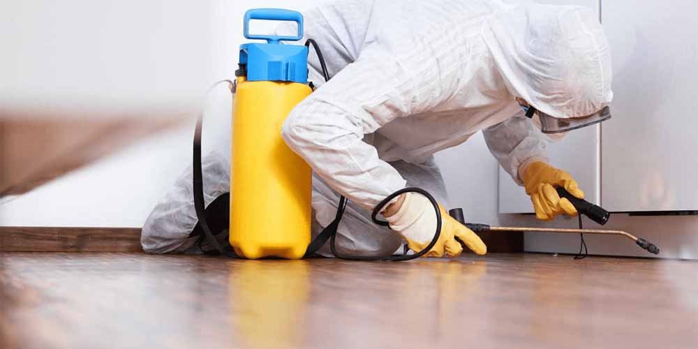 Defending Your Commercial Infrastructure: Comprehensive Pest Management Muskego WI